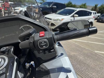 2025 Honda Gold Wing 50th Anniversary - Photo 11