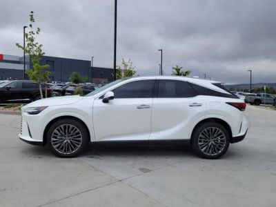 2025 Lexus RX — side profile view
