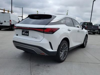 2025 Lexus RX — detail view