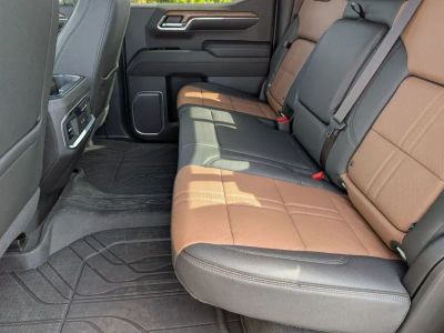 2023 Chevrolet Silverado 1500 — photo 23 view