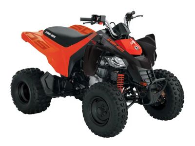 2026 Can-Am® DS 250 — front three-quarter view