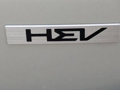 2026 Kia Carnival Hybrid — photo 13 view