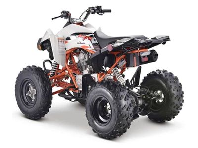 2023 Kayo Jackal 200 - Photo 6