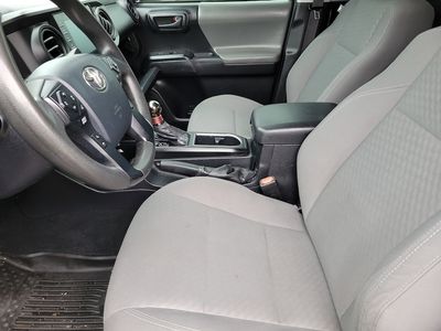 2020 Toyota Tacoma - Photo 3
