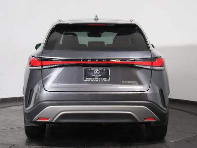 2024 Lexus RX - Photo 4