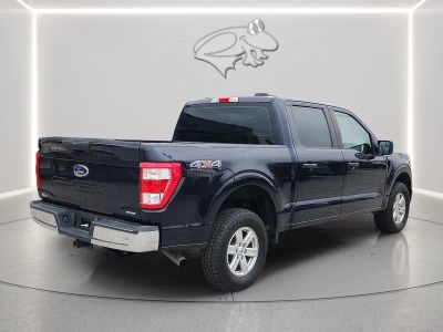 2021 Ford F-150 — detail view