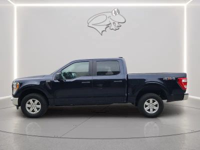 2021 Ford F-150 — side profile view