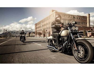 2015 Harley-Davidson Fat Bob - Photo 7