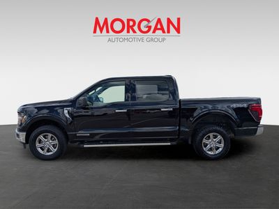 2024 Ford F-150 - Photo 7