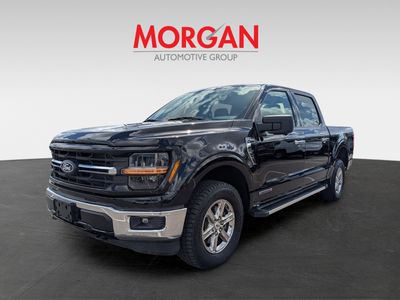 2024 Ford F-150 - Photo 8