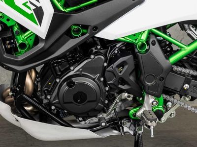 2026 Kawasaki KLE500 SE ABS - Photo 12