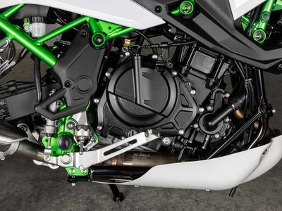 2026 Kawasaki KLE500 SE ABS - Photo 3