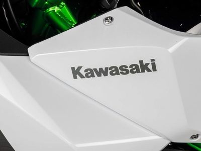 2026 Kawasaki KLE500 SE ABS - Photo 23