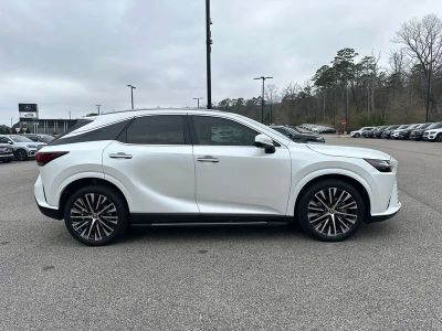 2024 Lexus RX - Photo 14