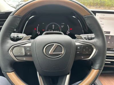 2024 Lexus RX - Photo 21