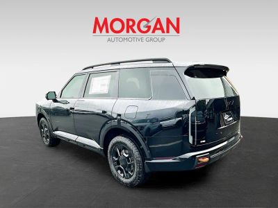 2027 Kia Telluride — detail view