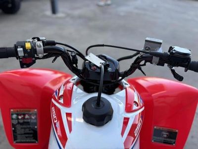 2026 Honda TRX250X - Photo 8