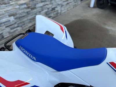2026 Honda TRX250X - Photo 9