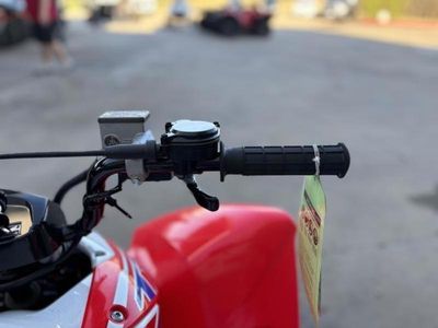 2026 Honda TRX250X - Photo 11