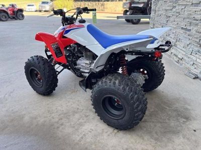 2026 Honda TRX250X - Photo 4