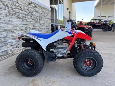 2026 Honda TRX250X - Photo 6