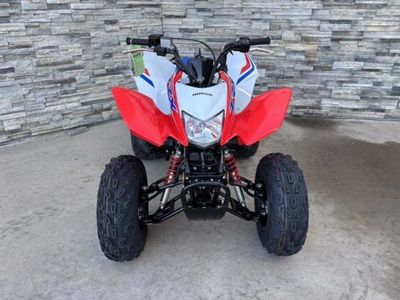 2026 Honda TRX250X - Photo 3