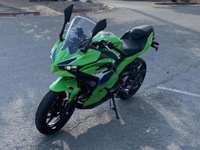 2026 Kawasaki Ninja 500 SE ABS - Photo 2