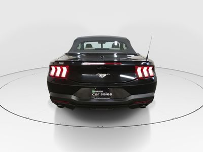 2024 Ford Mustang - Photo 6