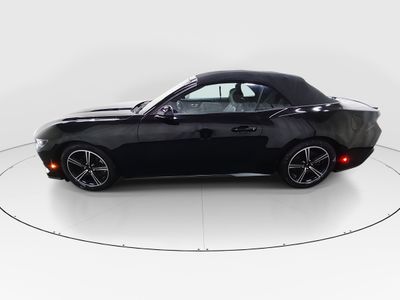 2024 Ford Mustang - Photo 4