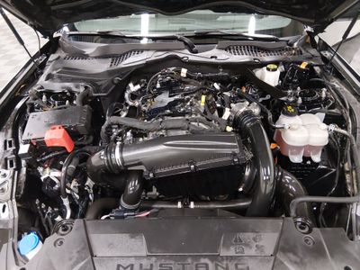 2024 Ford Mustang - Photo 9