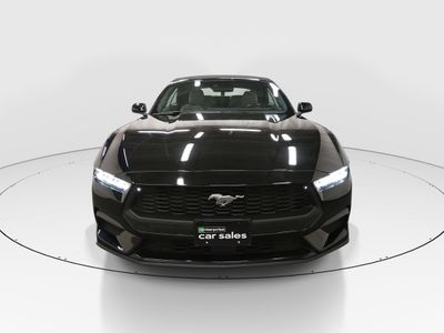 2024 Ford Mustang - Photo 2