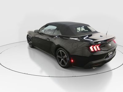 2024 Ford Mustang - Photo 5