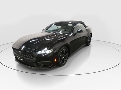 2024 Ford Mustang - Photo 3
