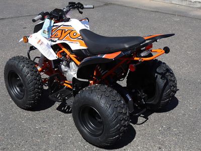 2026 Kayo Storm 150 - Photo 3