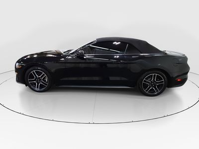 2023 Ford Mustang - Photo 4