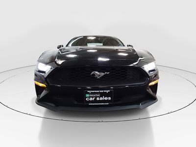 2023 Ford Mustang - Photo 2