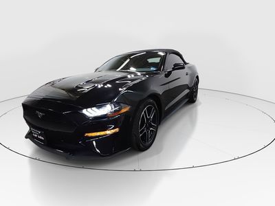 2023 Ford Mustang - Photo 3