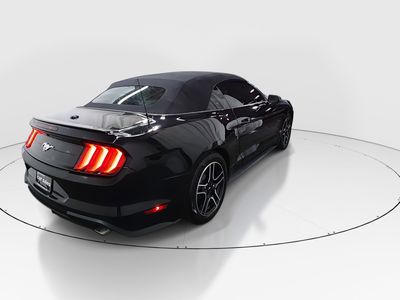 2023 Ford Mustang - Photo 7