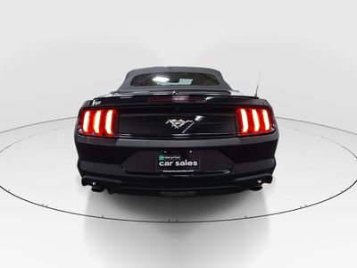 2023 Ford Mustang - Photo 6