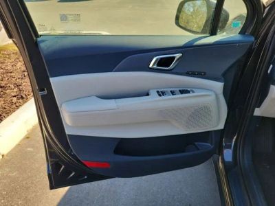 2026 Kia Carnival — detail view