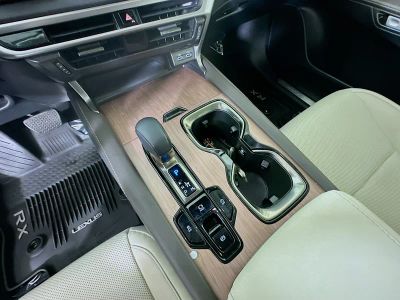 2023 Lexus RX — photo 22 view