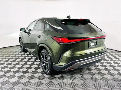 2023 Lexus RX — detail view