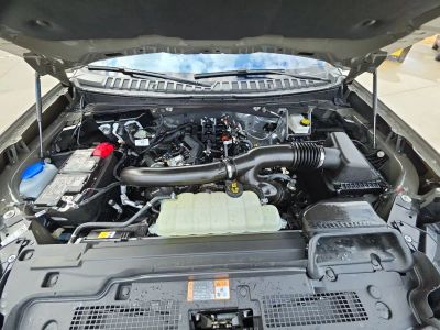 2025 Ford Expedition — photo 22 view
