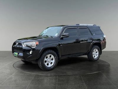 2019 Toyota 4Runner — rear three-quarter view