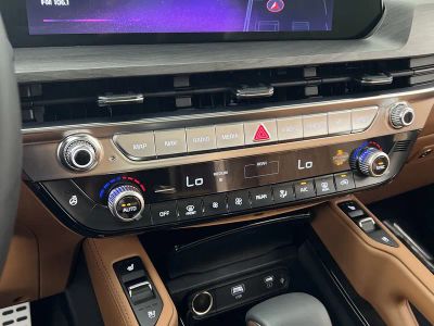2025 Kia Telluride — photo 22 view