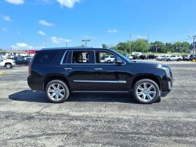 2020 Cadillac Escalade — detail view