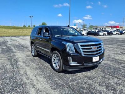 2020 Cadillac Escalade — rear three-quarter view