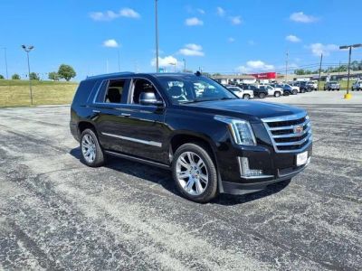 2020 Cadillac Escalade — interior view