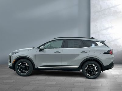 2026 Kia Sportage — rear three-quarter view