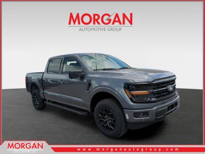 2026 Ford F-150 XLT in Gray — front three-quarter view